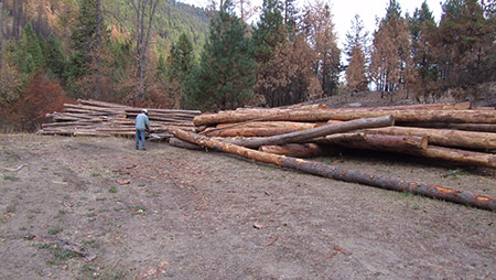 Rock-Creek-Logs