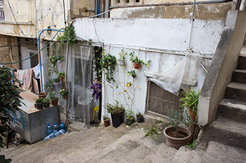 Amina's Basment Apartment in Beirut