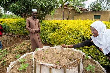 Growing Vegetables in the Dry Season