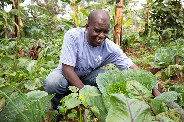 Obed in his Kitchen Garden