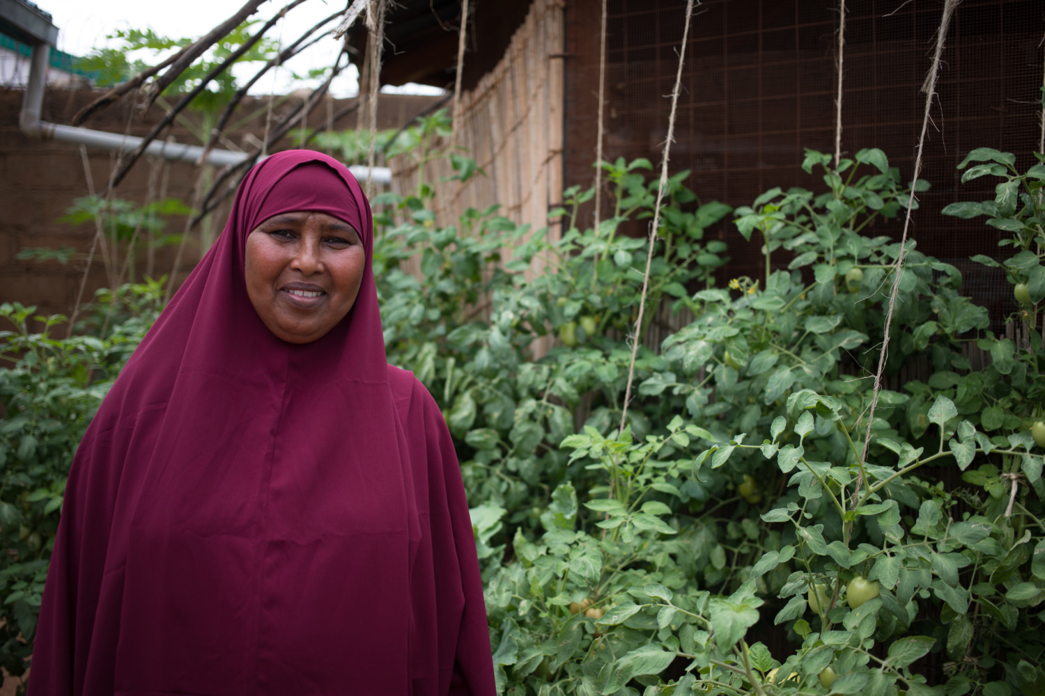 Gardens in the Midst Drought, ADRA Canada