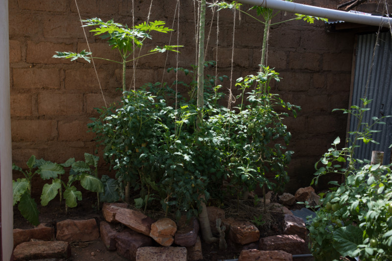 Gardens in the Midst Drought, ADRA Canada