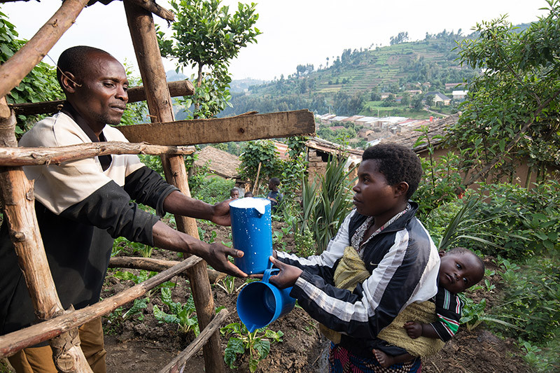 A Life-Changing Cow, ADRA Canada