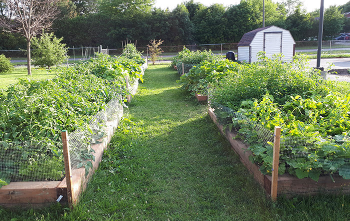 ADRA Canada Garden Boxes