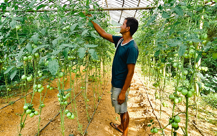 Helping Farmers in Nepal Adapt to Climate Change: SDG 13, ADRA Canada