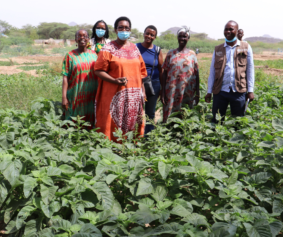 Responding to the Hunger Crisis, ADRA Canada