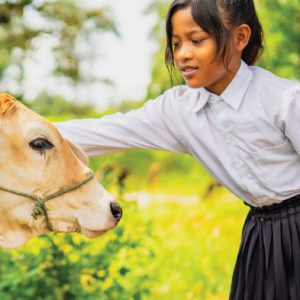 Support Animal Fodder with Azolla Fern Seeds (Copy)