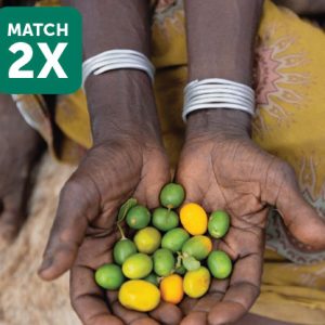 Seeds and Tools to Restore Vital Food Security